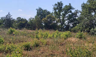 Terrain  2812 m² à vendre à Muret (31600)