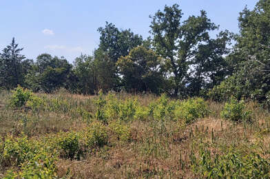 Terrain  174900 €