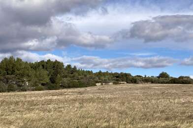 Terrain  81000 €