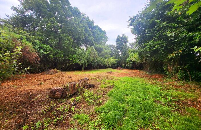 Terrain construcrible environ 1000m² 5' des plages — photo 3