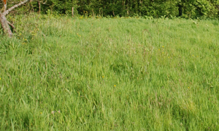 Terrain  391 m² à vendre à Fécamp (76400)