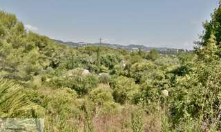 Terrain  3000 m² à vendre à Mougins (06250)