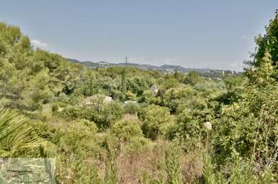 Terrain  735000 €