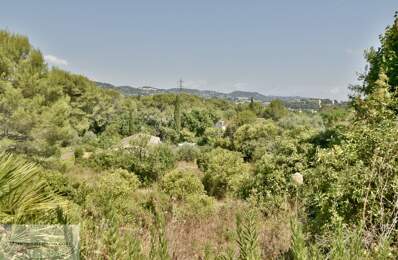 Terrain constructible — photo du bien