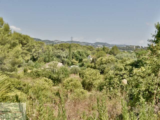 Terrain constructible — photo du bien