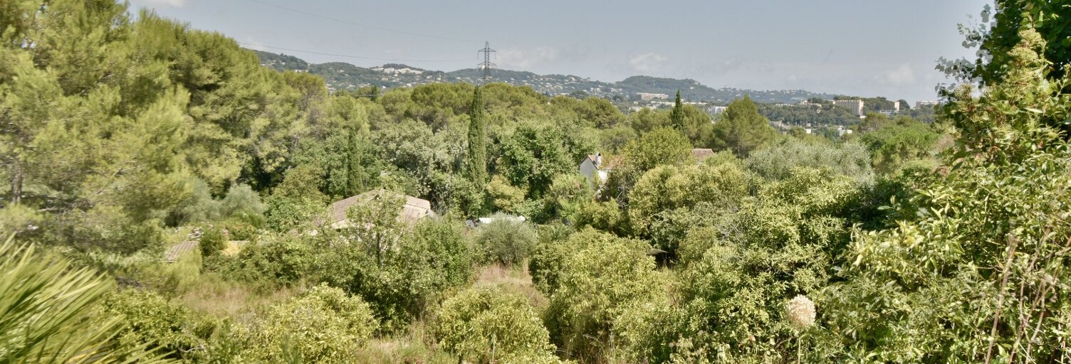 Terrain  3000 m² à vendre à Mougins (06250)