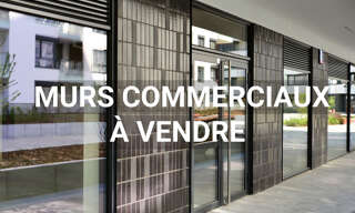 Commerce 3 Pièces 48 m² à vendre à Brumath (67170)