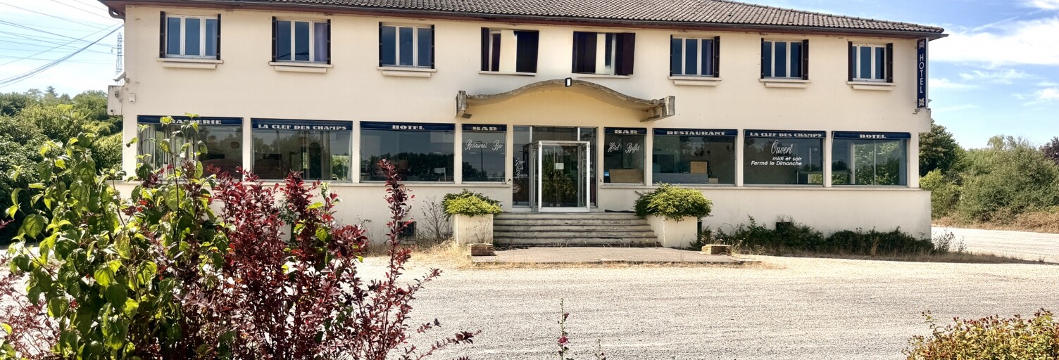 Commerce  1000 m² à vendre à Champigny (89340)