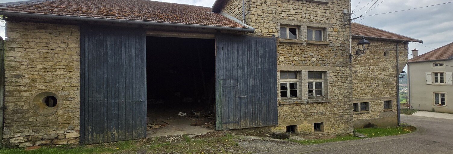 Maison 8 Pièces 230 m² à vendre à Amance (54770)