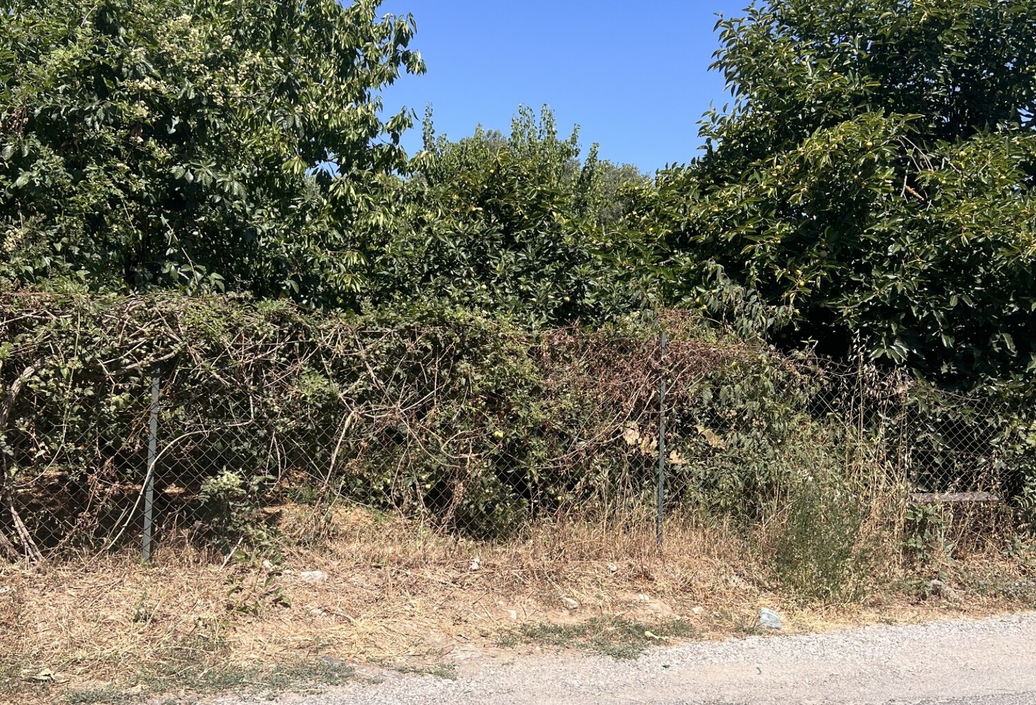 Vente Terrain à bâtir 1 165 m&sup2; — photo 1
