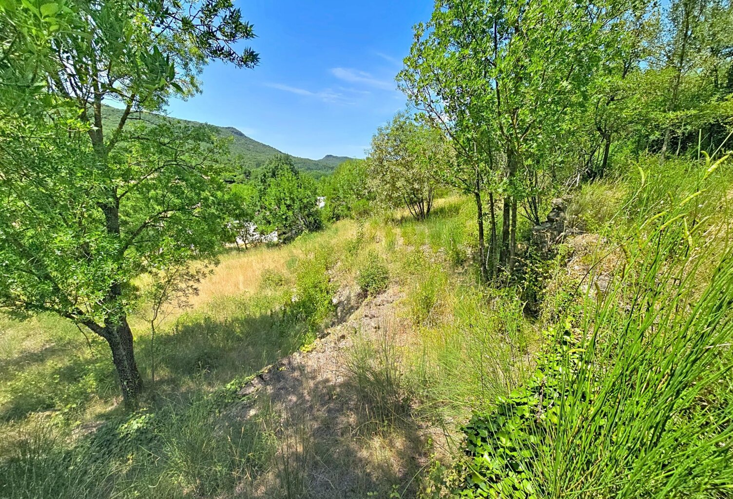 Construisez votre projet dans l'un des secteurs les plus recherchés d'Hérépian, avec une vue dominante et un environnement préservé. — photo 1