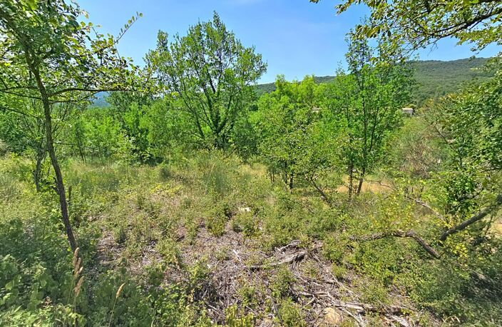 Construisez votre projet dans l'un des secteurs les plus recherchés d'Hérépian, avec une vue dominante et un environnement préservé. — photo 4