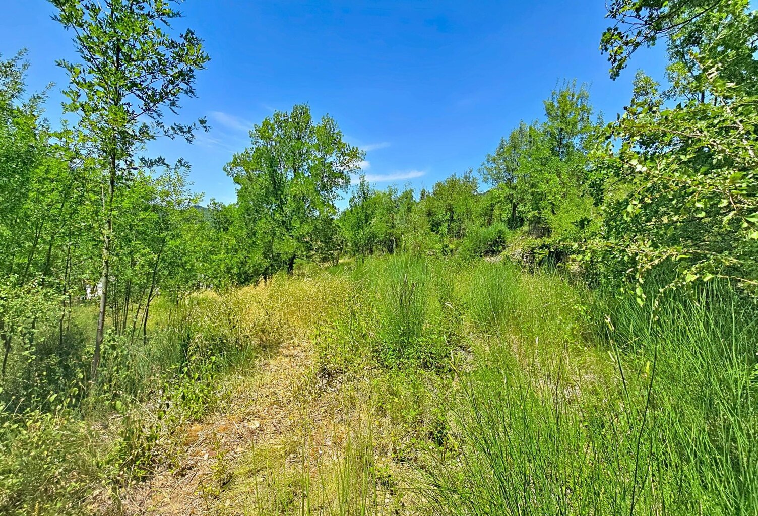 Un terrain d'exception pour donner vie à votre projet, dans un environnement calme et privilégié sur les hauteurs d'Hérépian. — photo 1