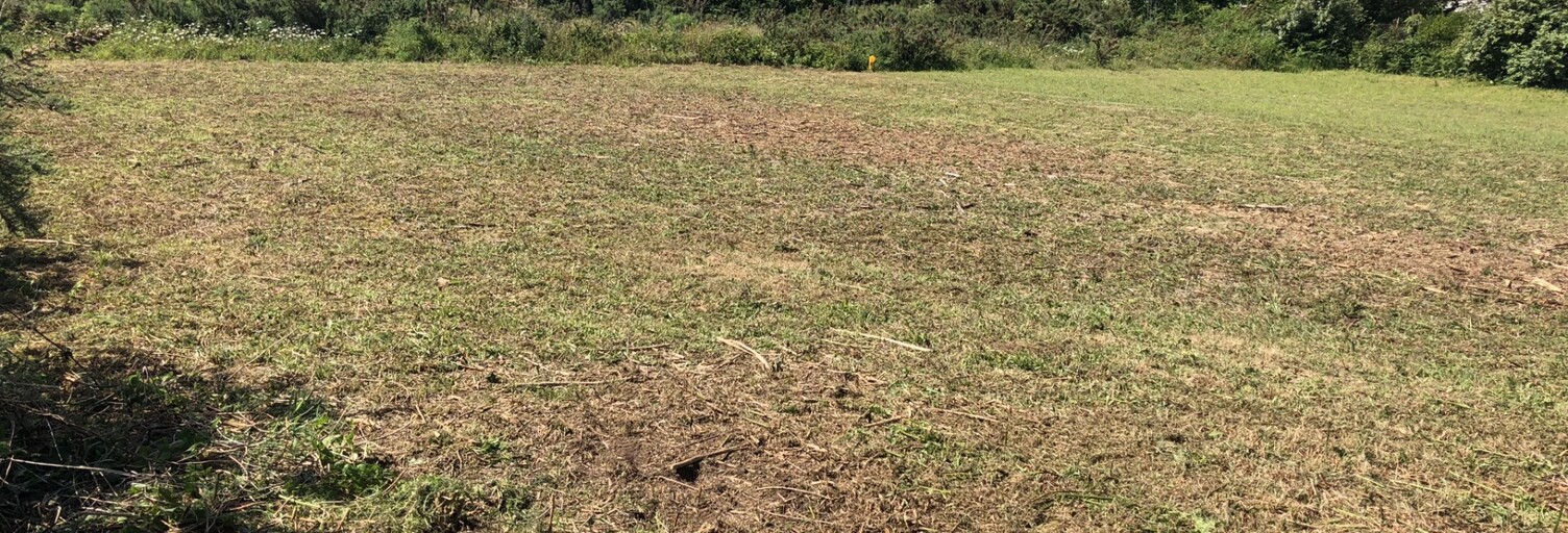 Terrain  728 m² à vendre à Plozévet (29710)