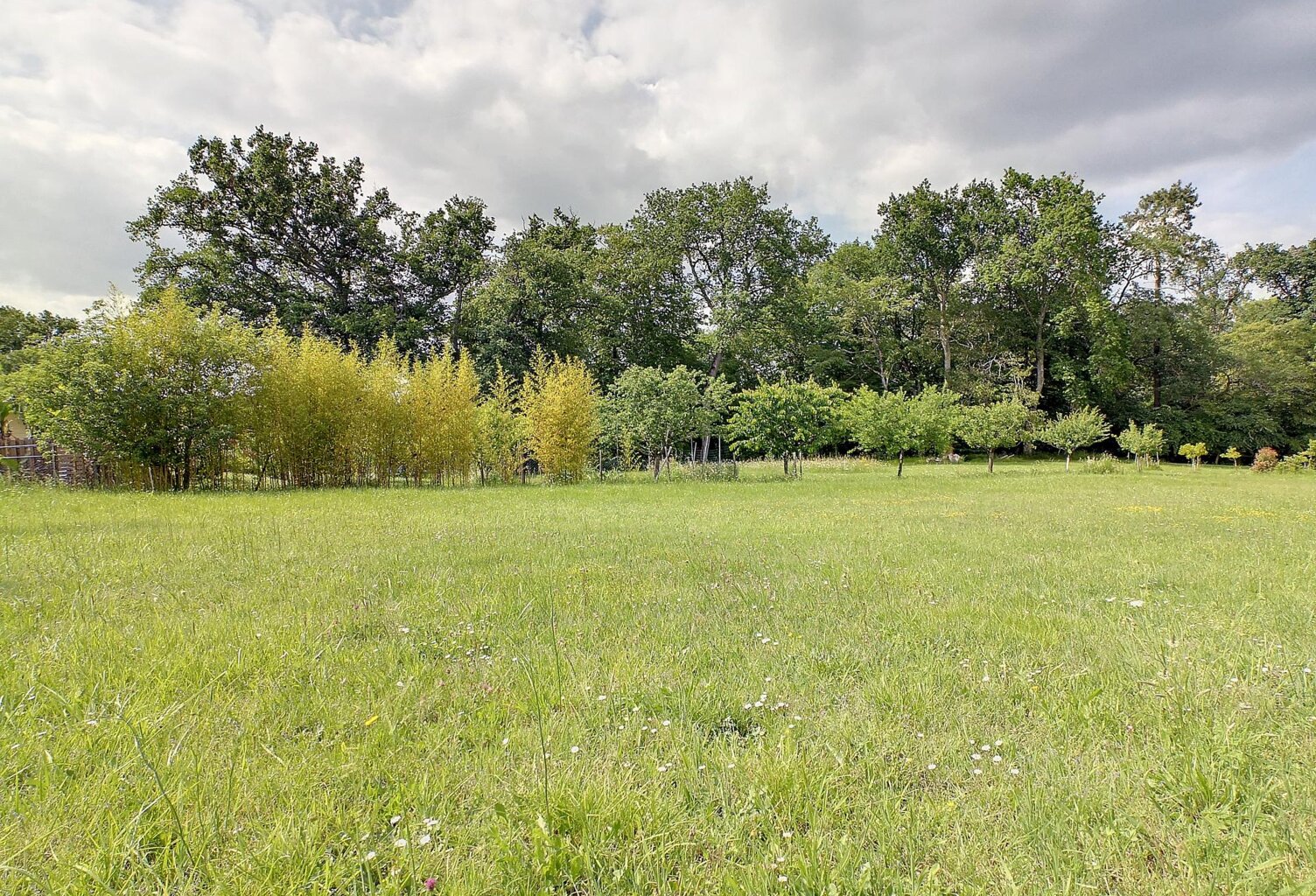 Grand terrain constructible viabilisé — photo 1