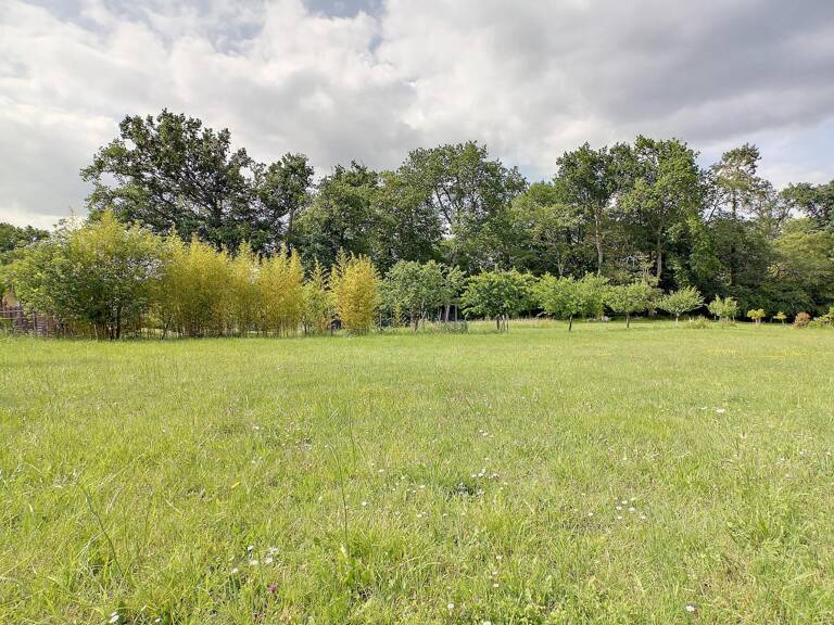 Grand terrain constructible viabilisé — photo 1