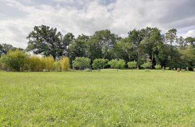 Terrain constructible viabilisé — photo du bien