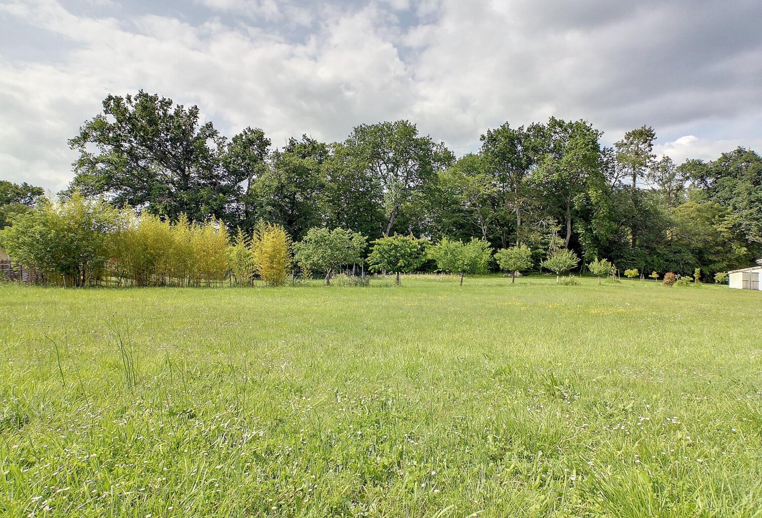 Grand terrain constructible viabilisé — photo 1