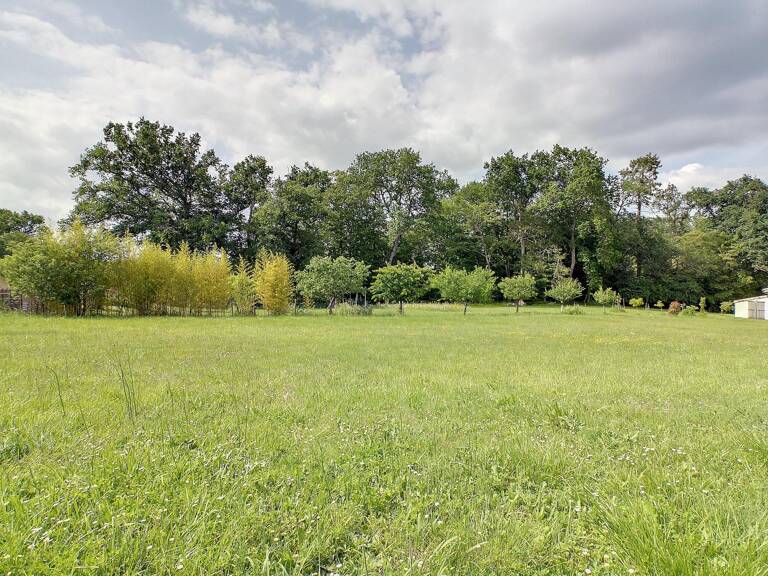 Grand terrain constructible viabilisé — photo 1