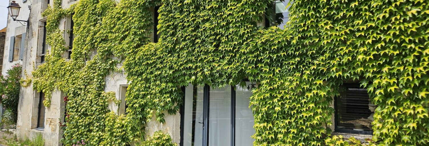 Maison 7 Pièces 159 m² à vendre à Saint-Sauvant (17610)