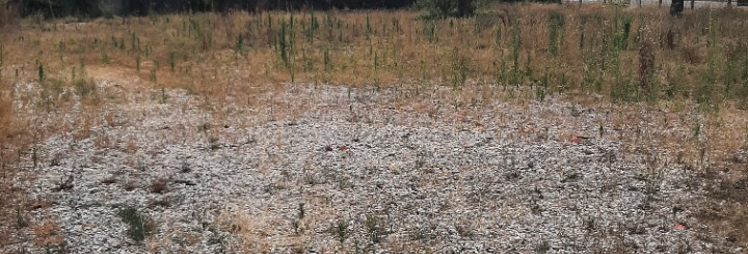 Terrain  690 m² à vendre à Saint-Aubin-de-Médoc (33160)