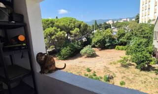 Appartement 2 Pièces 35 m² à louer à Bastia (20600)