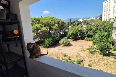 Appartement 2 pièces 510 €