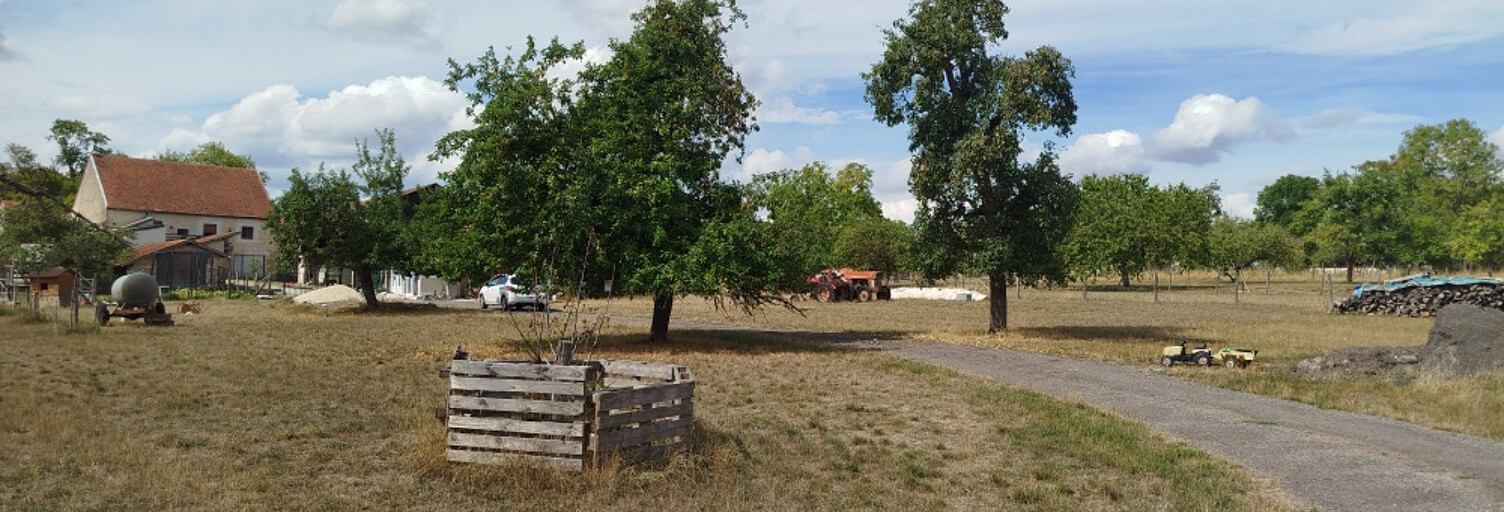 Photo N° 2