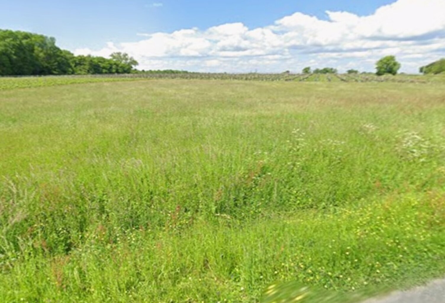Terrain à bâtir à Abzac (33230) — photo 1