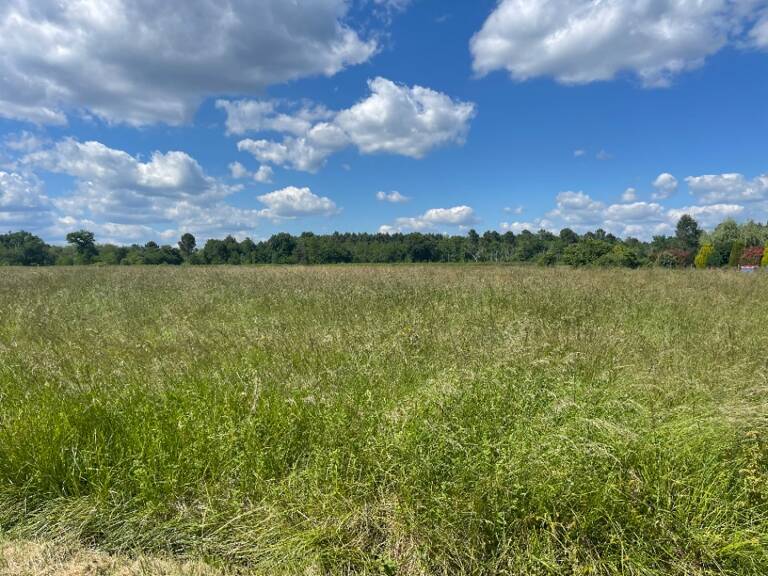 Terrain à bâtir à Preignac (33210) — photo 1