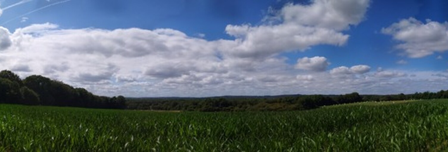 Photo N° 2