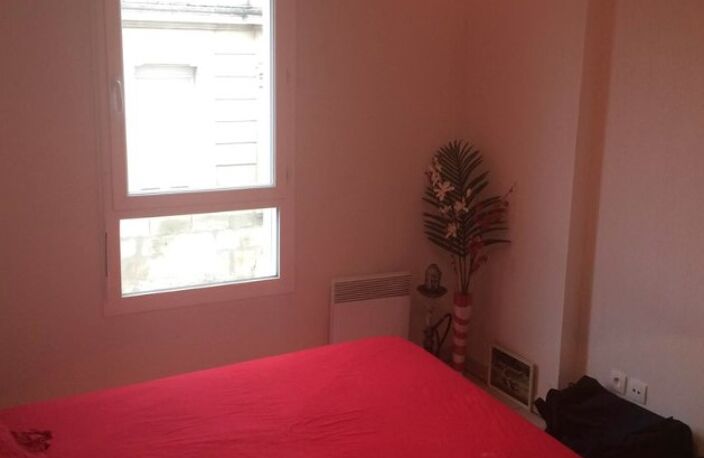 T2 — photo 3