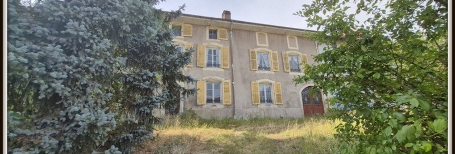 Maison 8 Pièces 240 m² à vendre à Celles-sur-Plaine (88110)