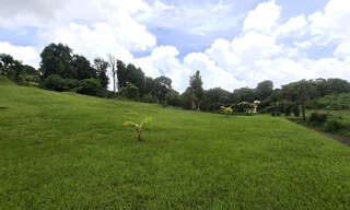 Terrain  4435 m² à vendre à Gros-Morne (97213)