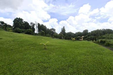 Terrain  428000 €
