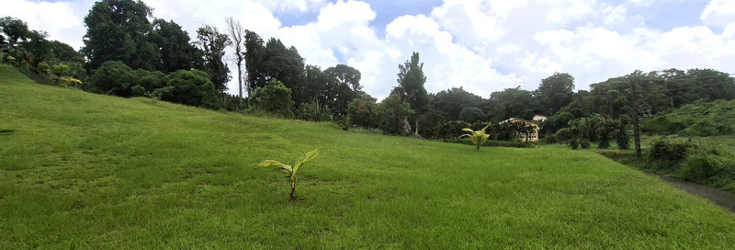 Terrain  4435 m² à vendre à Gros-Morne (97213)