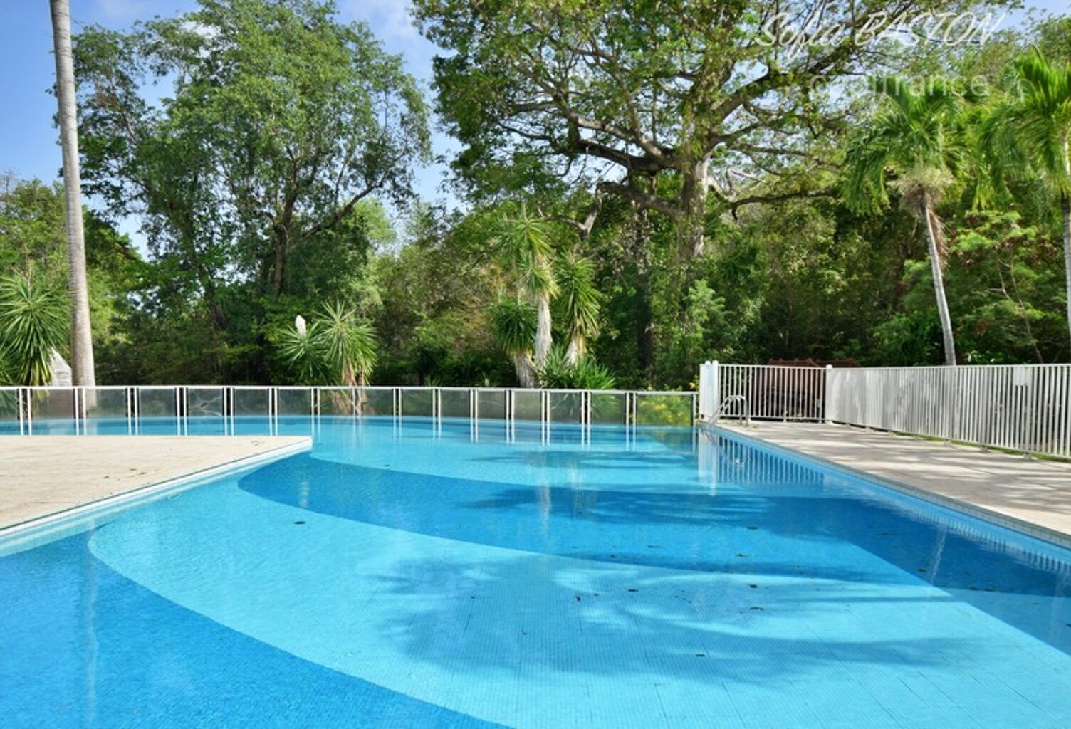 LE DIAMANT (972) - Baisse de prix Proche Plage Appartement T1 (31m2) + Terrasse - Piscine - Parc - 31 m2 + Terrasse — photo 1
