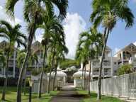 LE DIAMANT (972) - Baisse de prix Proche Plage Appartement T1 (31m2) + Terrasse - Piscine - Parc - 31 m2 + Terrasse — photo 2