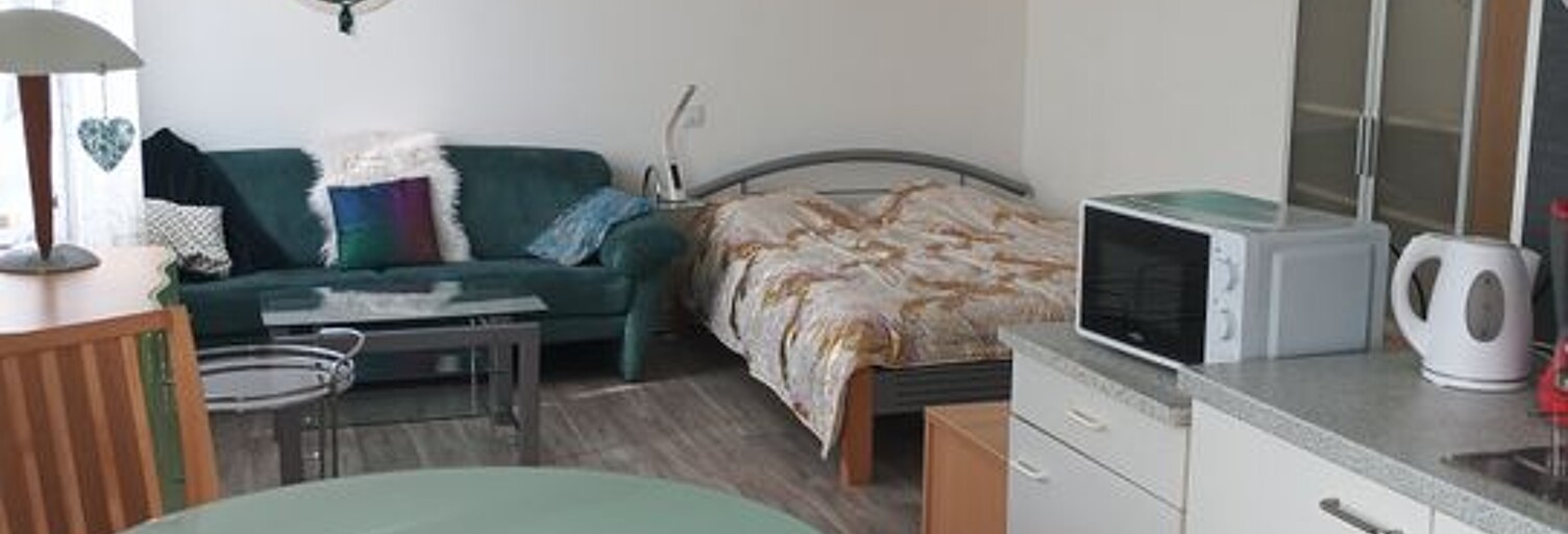 Appartement 1 Pièce 30 m² à louer à Sarreguemines (57200)