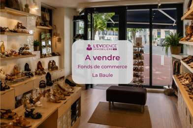 Commerce  56000 €