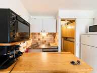 Studio 25,66 m² avec loggia fermée et extérieur ,La Foux d'Allos — photo 4