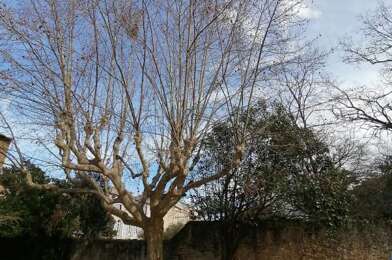 Terrain  390000 €