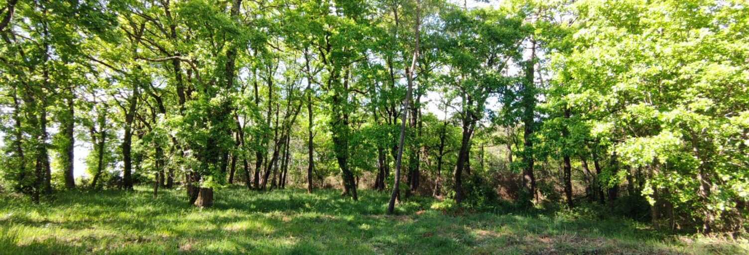 Terrain  2975 m² à vendre à Villefranche-de-Lonchat (24610)