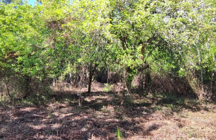 Terrain constructible boise 2980m2 — photo 3