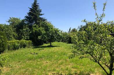 Terrain  54000 €