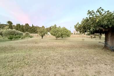 Terrain  160000 €