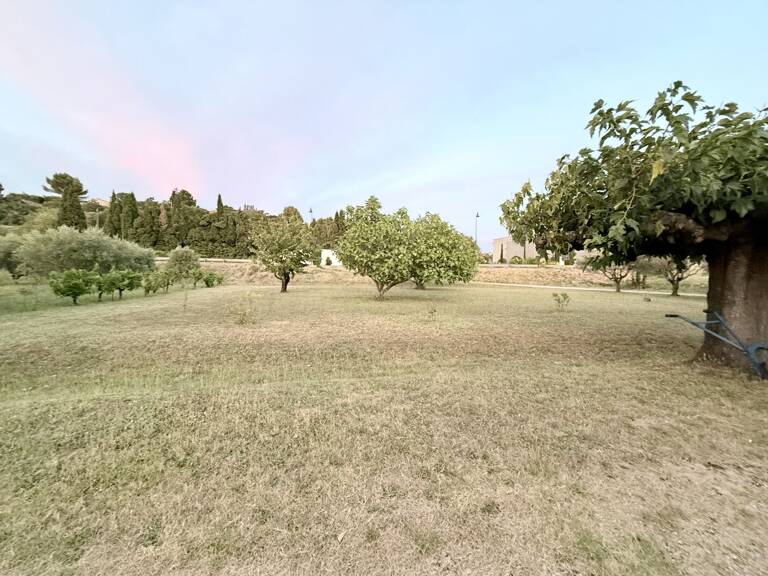 Terrain Constructible — photo 1