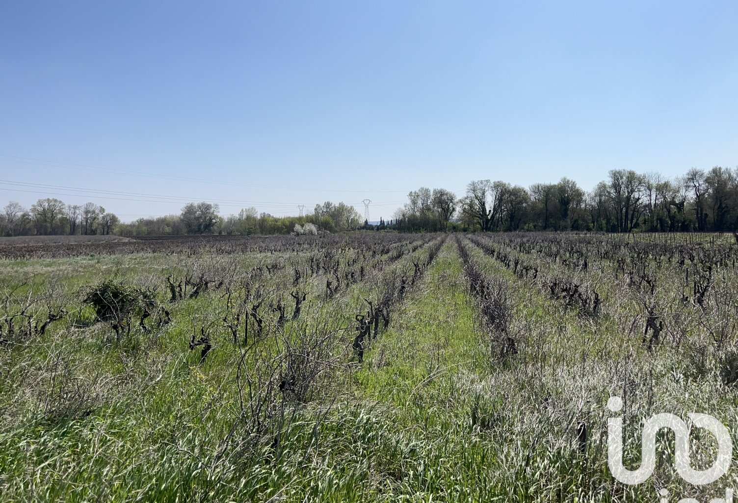Vente Terrain agricole 5 975 m&sup2; — photo 1