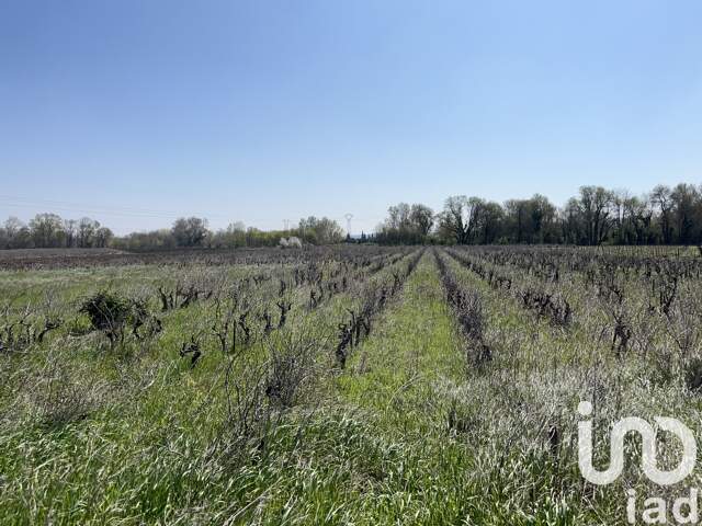 Vente Terrain agricole 5 975 m&sup2; — photo du bien
