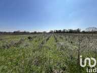 Vente Terrain agricole 5 975 m&sup2; — photo 2
